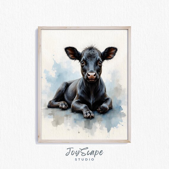 Black Angus Calf Resting Watercolor Portrait Rustic Farmhouse Poster