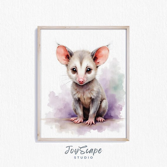 Baby Possum Joey Nursery Art Adorable Marsupial Watercolor Wall Decor For Kids Animal Room Print Cute 432