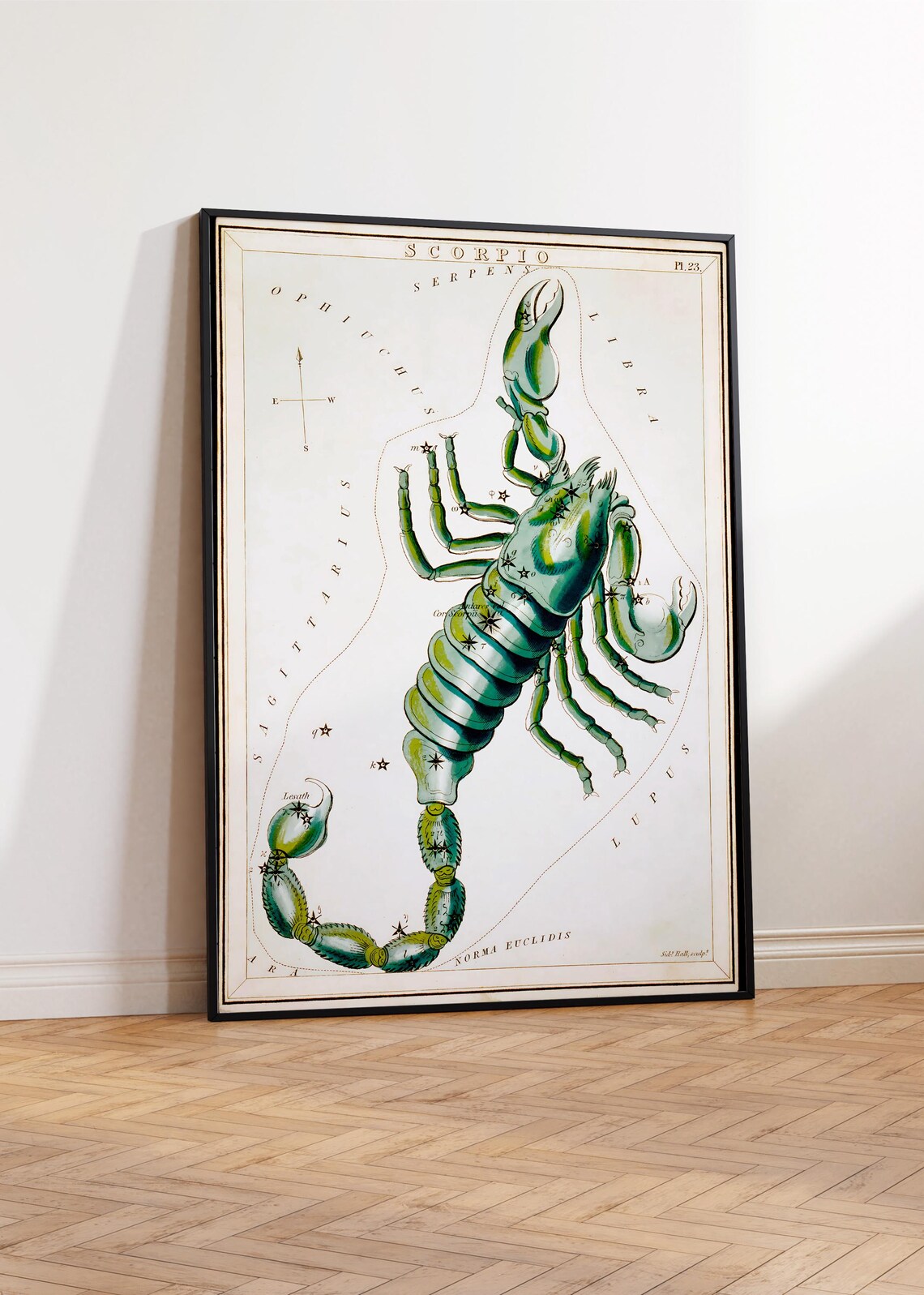 Scorpio Constellation Vintage Celestial Star Chart Green Scorpion Zodiac Poster - Image 2