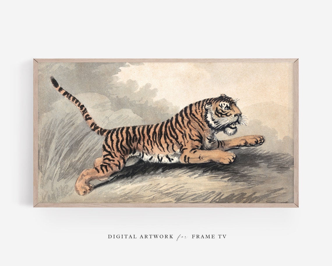 Vintage Tiger Art Print, Boho Animal Decor
