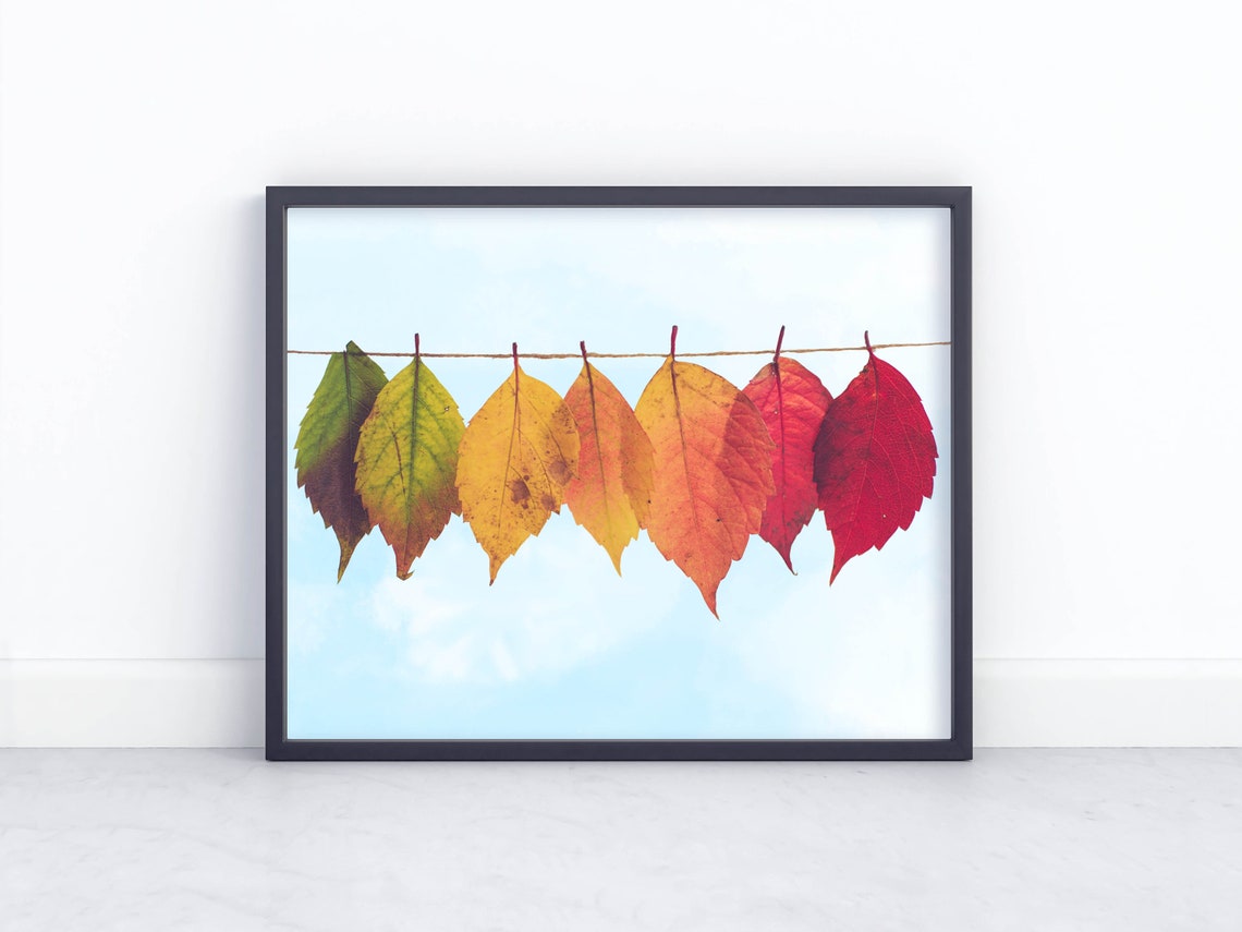 Autumn Leaves Gradient String Blue Sky Fall Photography Poster - Image 2