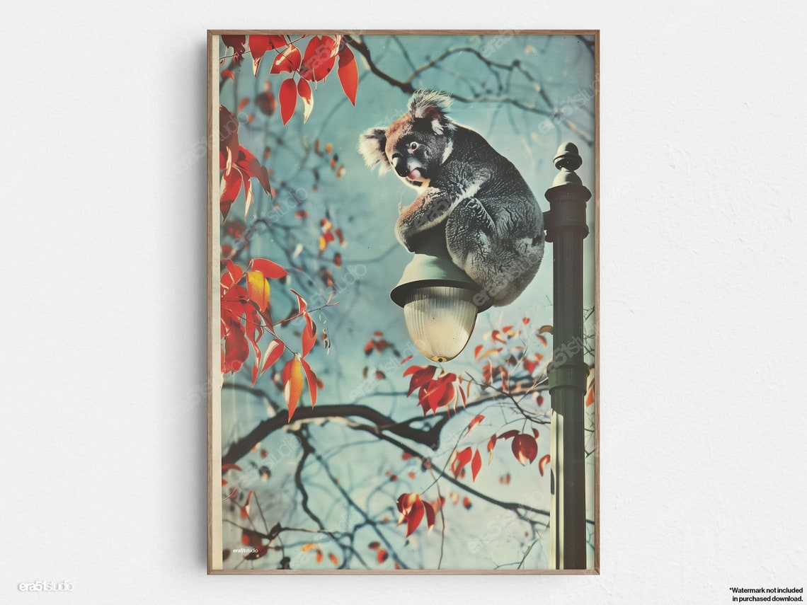 Cute Koala On A Lamp Post Amid Red Autumn Leaves Midcentury Poster