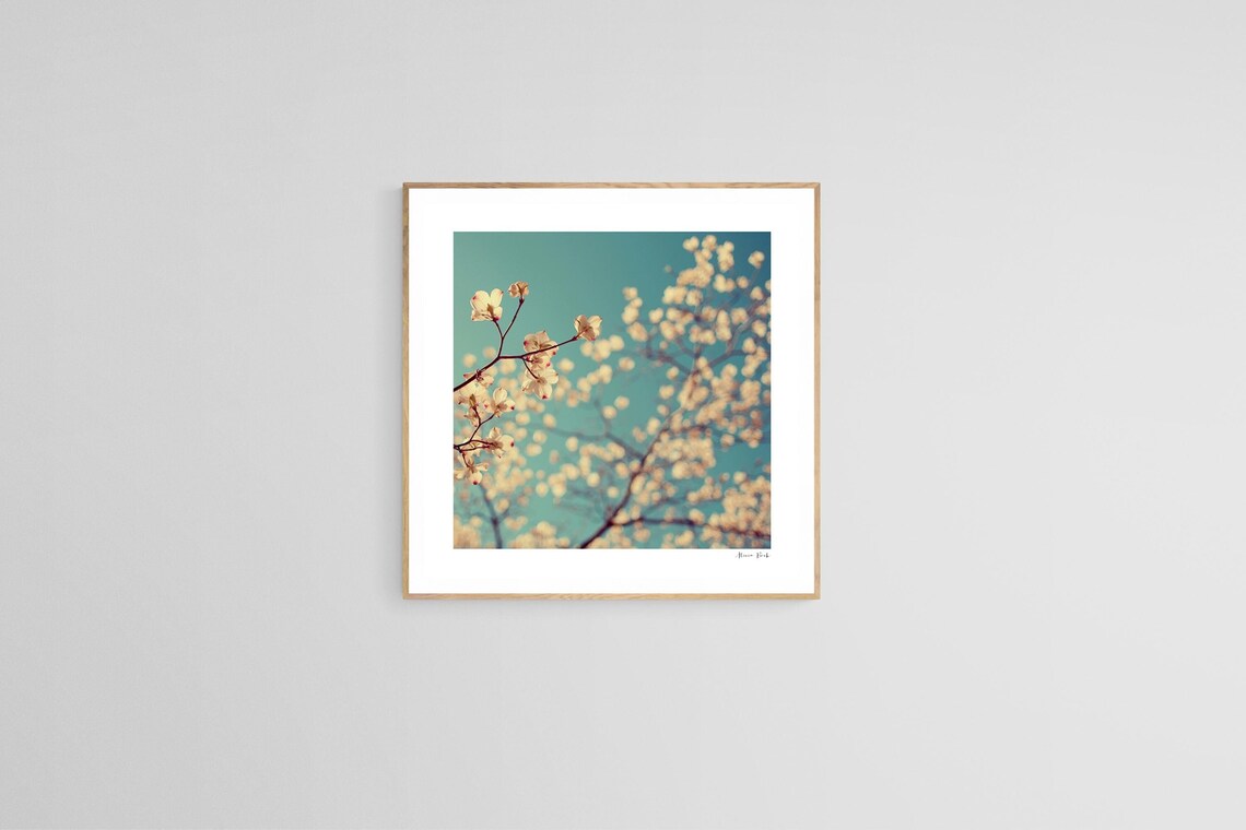 Dogwood Tree Art Print, Botanical Photograph