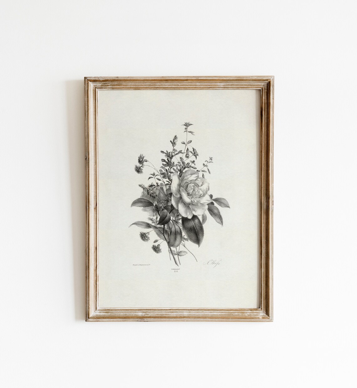 Vintage Botanical Art Print, Antique Neutral Wall Art - Image 5