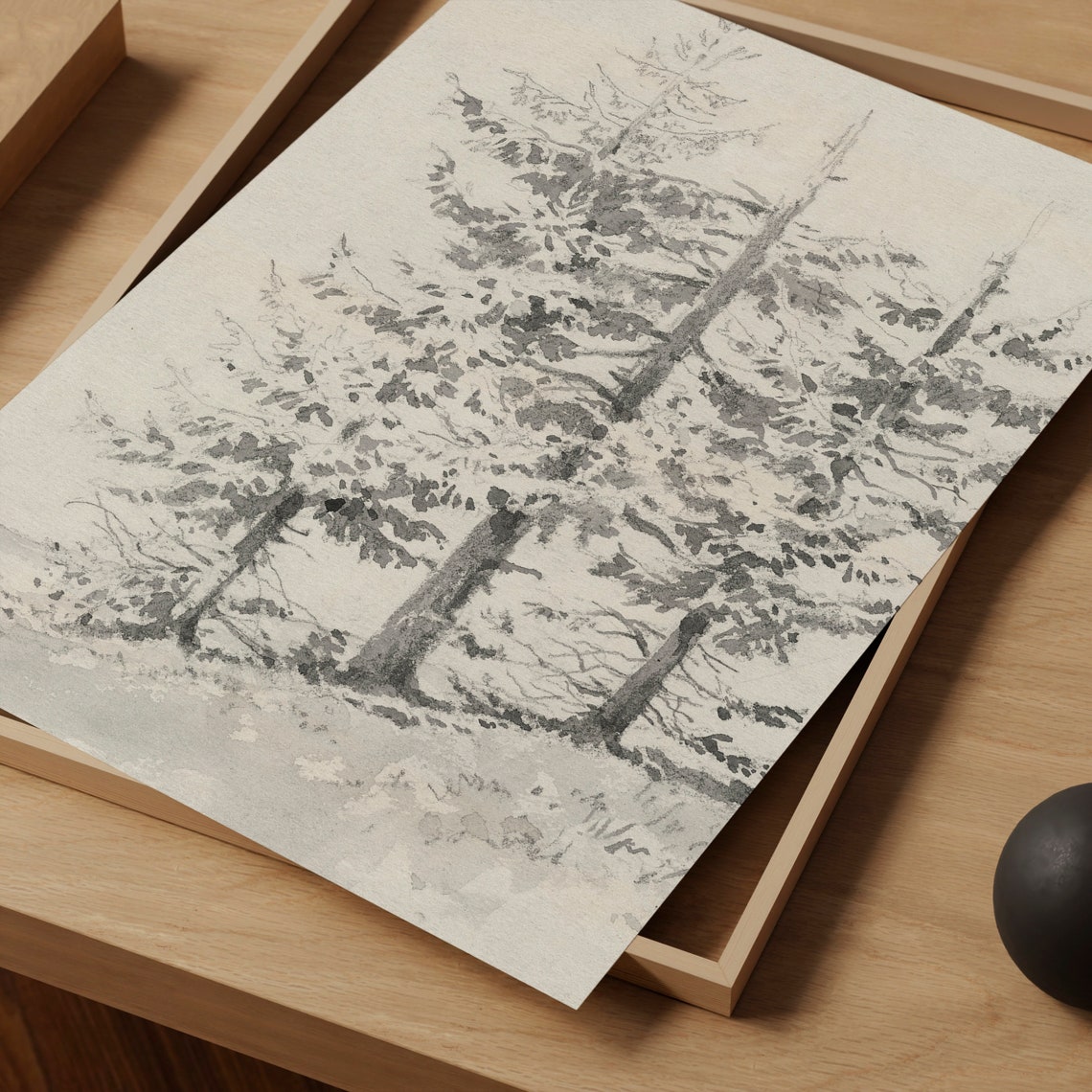 Vintage Winter Pine Tree Ink Sketch Black White Neutral Wall Art - Image 4