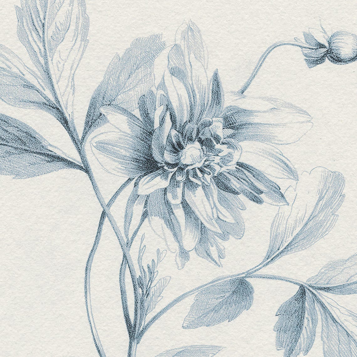 Vintage Cream Blue Botanical Engraving Dahlia Flower Wall Art - Image 3