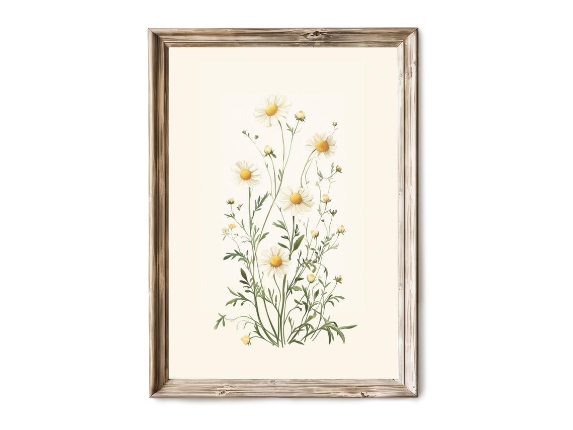 Vintage Botanical Study Wall Art Scientific Plant Sketch Delicate Nature Drawing Floral Educational 41