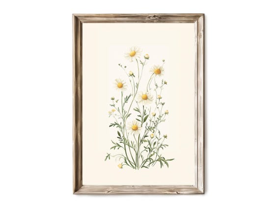 Vintage Botanical Study Wall Art Scientific Plant Sketch Delicate Nature Drawing Floral Educational 41
