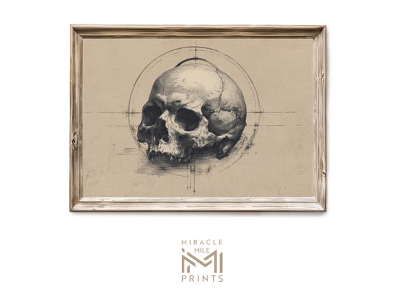 Halloween Skull Minimalist Drawing Gothic Anatomy Wall Art Creepy Vintage Illustration Spooky Decor 339
