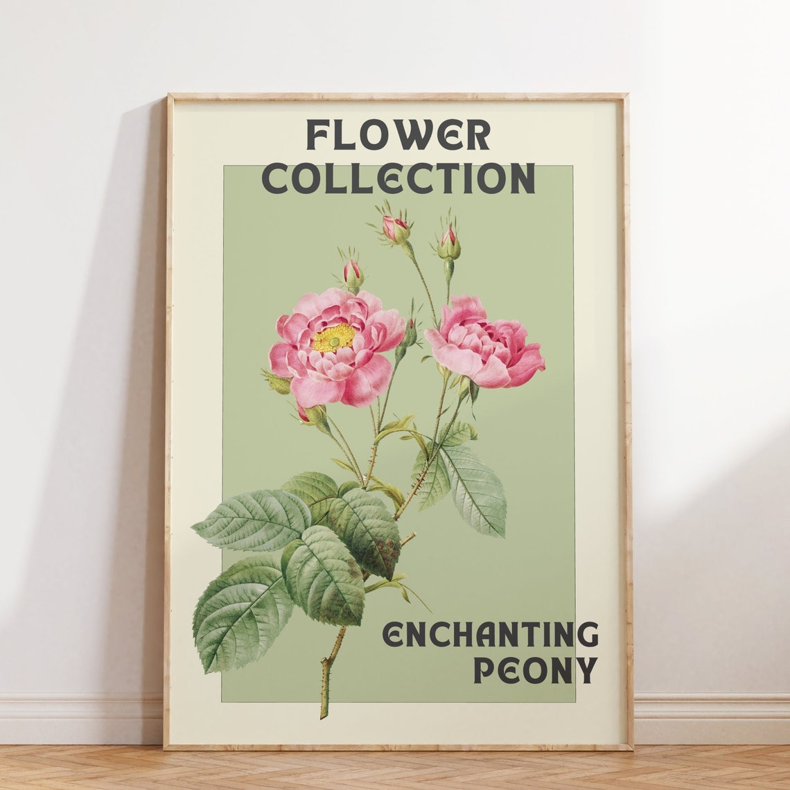 Flower Collection Enchanting Peony Vintage Botanical Decor Poster