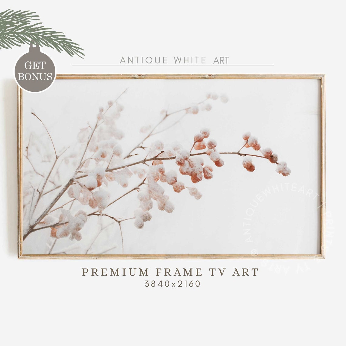 Frosted Winter Berry Branch Snow Covered Botanical Minimalist Print