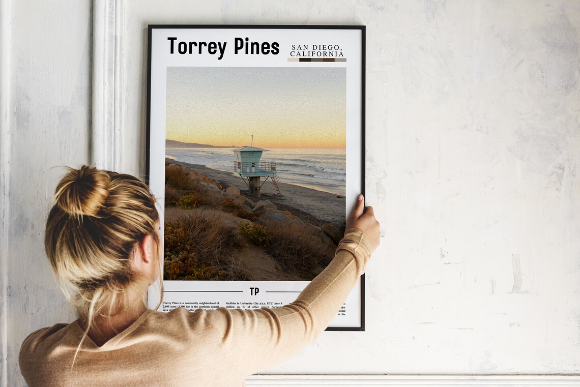 Torrey Pines San Diego California Beach Lifeguard Travel Poster - Image 2