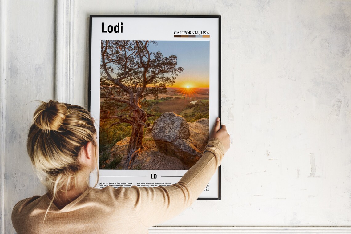 Lodi California Sunset Valley Twisted Tree Rock Minimal Travel Poster - Image 2