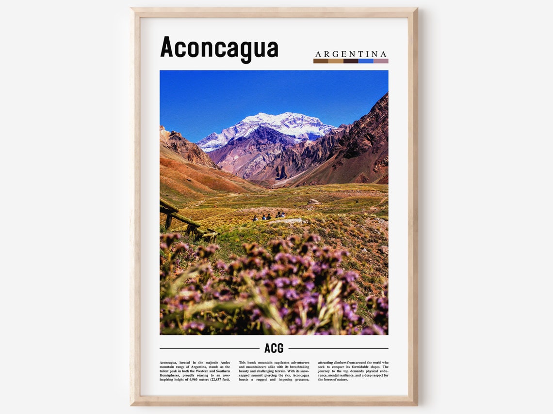 Aconcagua Argentina Snow Capped Andes Peak Wildflowers Poster