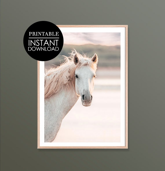 Horse Print Art Sunset Farmhouse Decor Poster Nursery Farm Animal