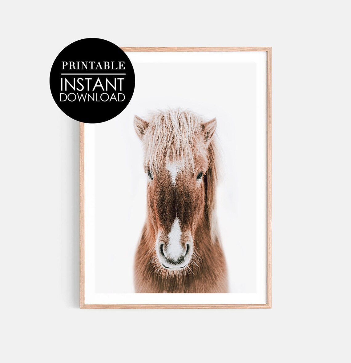 Chestnut Horse Front Portrait Minimalist Animal Photography Wall Art
