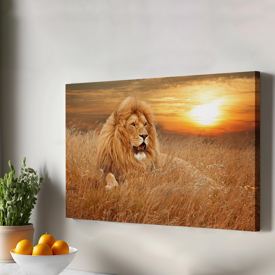 Majestic Male Lion Resting At Golden Sunset Savanna Photo Poster