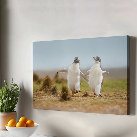 Two Baby Penguins Pair Waddling Cute Wildlife Canvas Art Print