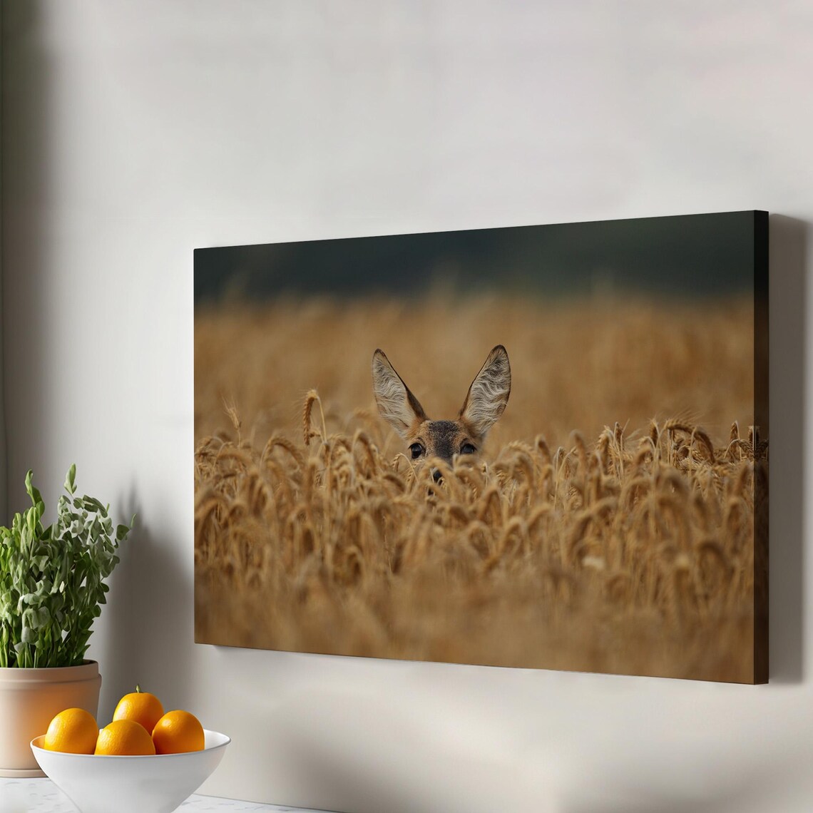 Young Deer Golden Wheat Field Wildlife Photography Canvas Poster