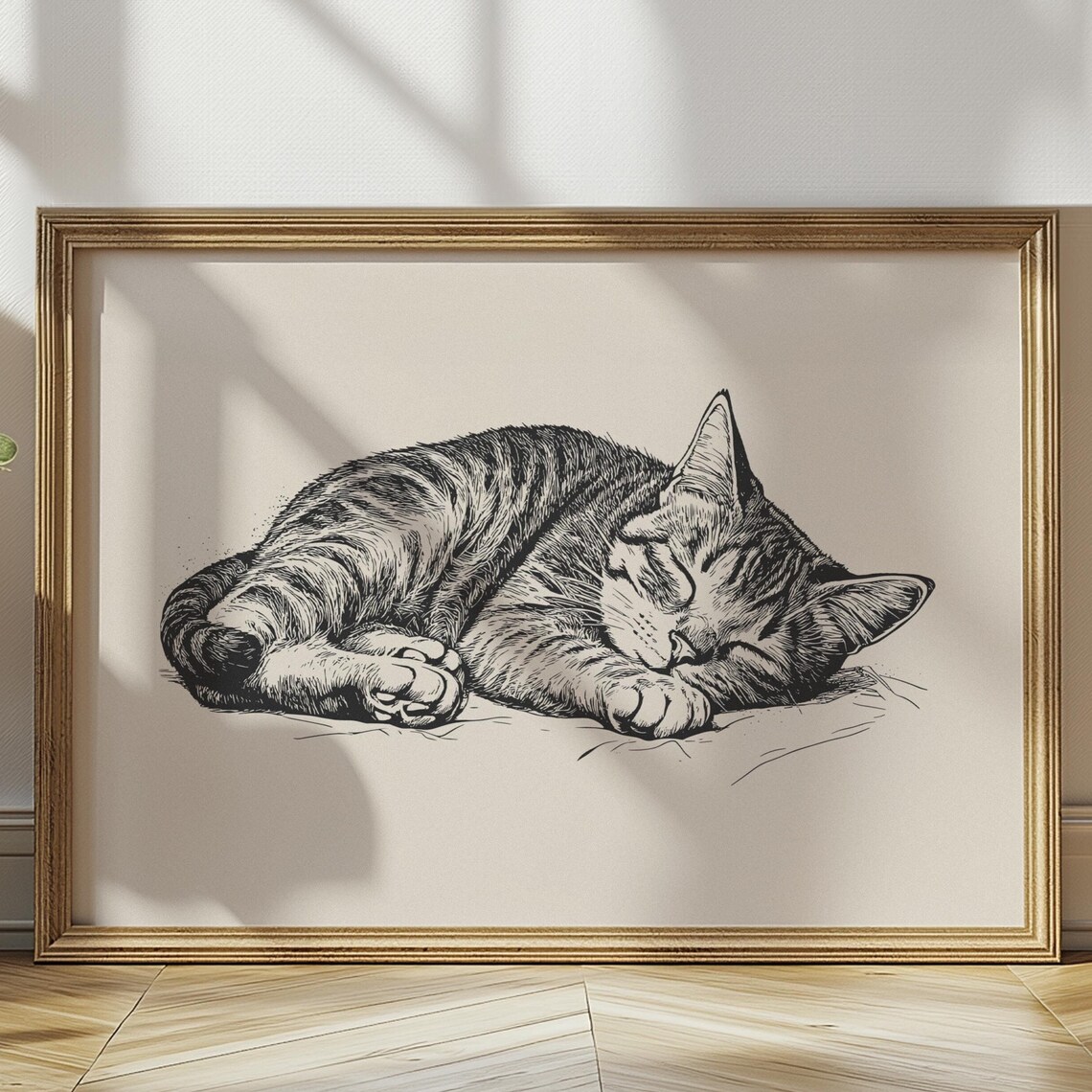 Sleeping Tabby Cat Curled Up Tight Detailed Ink Drawing Poster