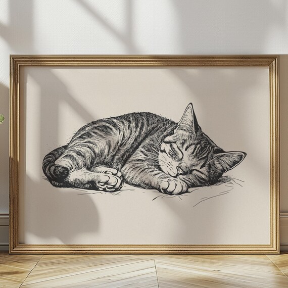 Sleeping Tabby Cat Curled Up Tight Detailed Ink Drawing Poster