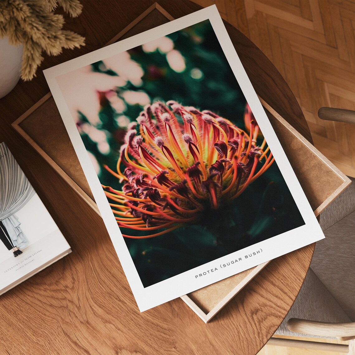 Protea Botanical Photography, Moody Flower Art Print - Image 6
