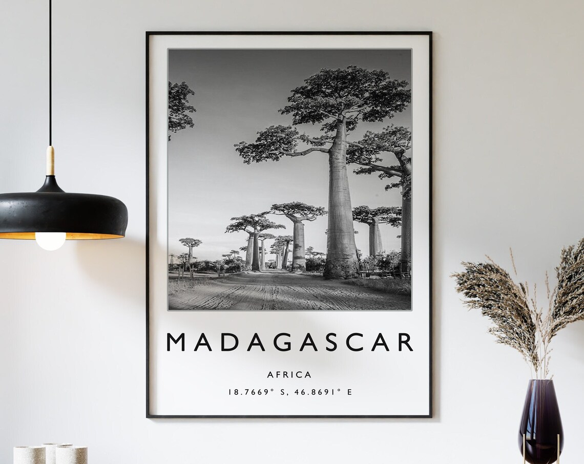 Madagascar Travel Poster, African Art Print