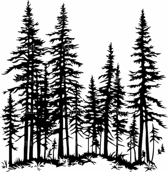 Pine Forest, Detailed Forest Tree Silhouette