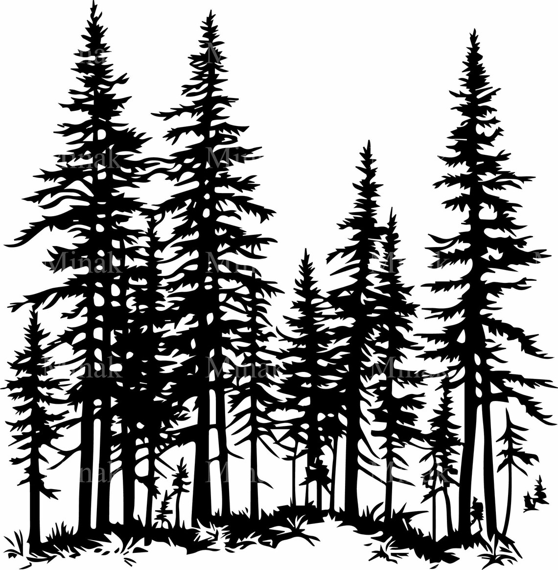 Pine Forest, Detailed Forest Tree Silhouette