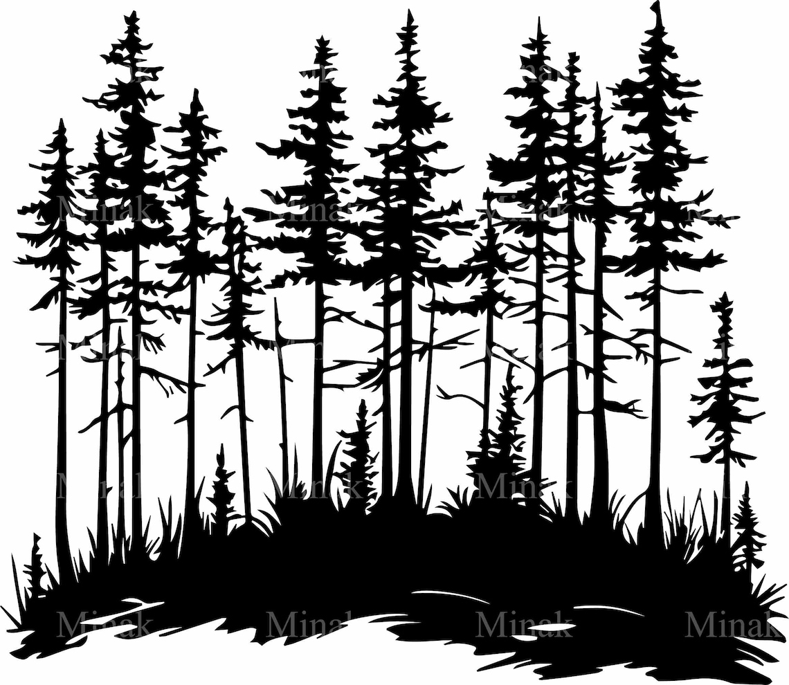 Pine Forest, Detailed Forest Tree Silhouette - Image 3