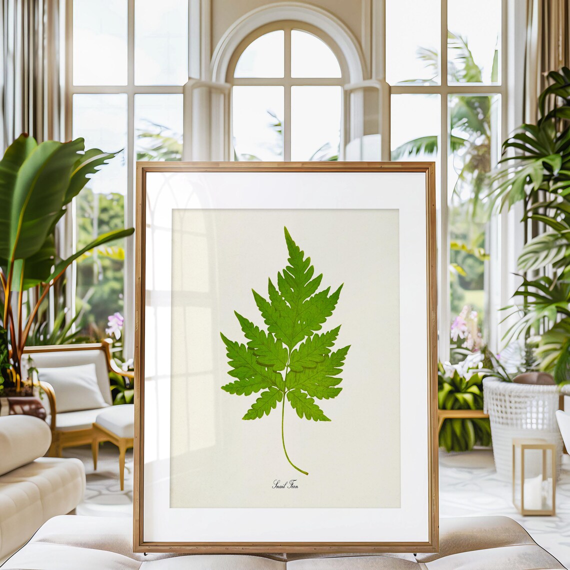 Snail Fern Botanical Poster, Nature Decor Art Print - Image 3
