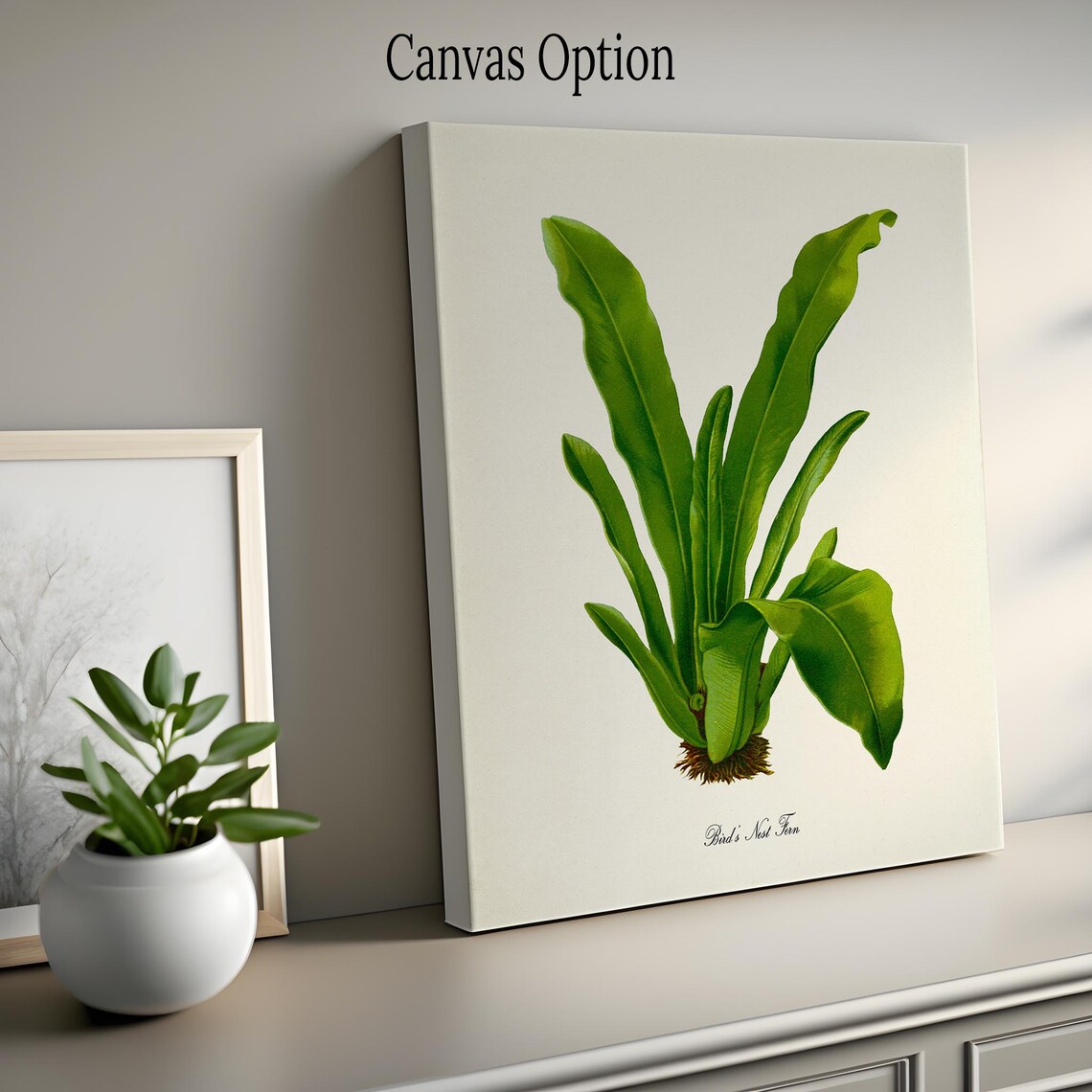 Birds Nest Fern Art Print, Botanical Wall Art - Image 2