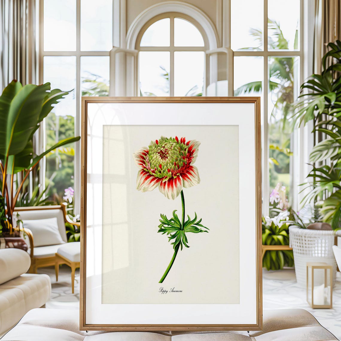 Striped Red and White Poppy Anemone Botanical Flower Classic Poster - Image 3