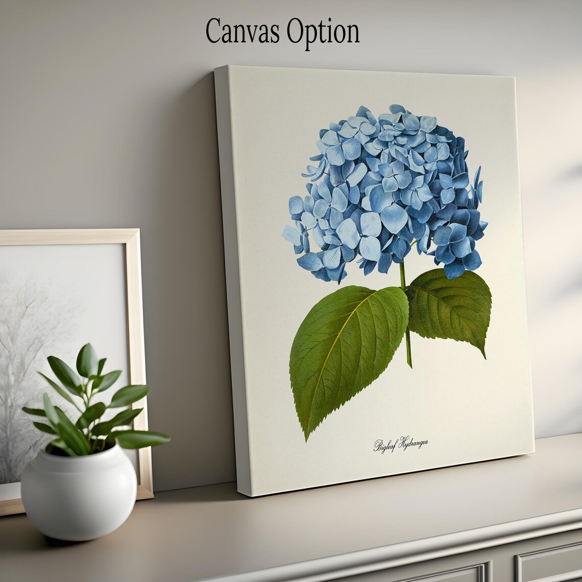Bigleaf Hydrangea Botanical Art Print, Blue Flower - Image 2