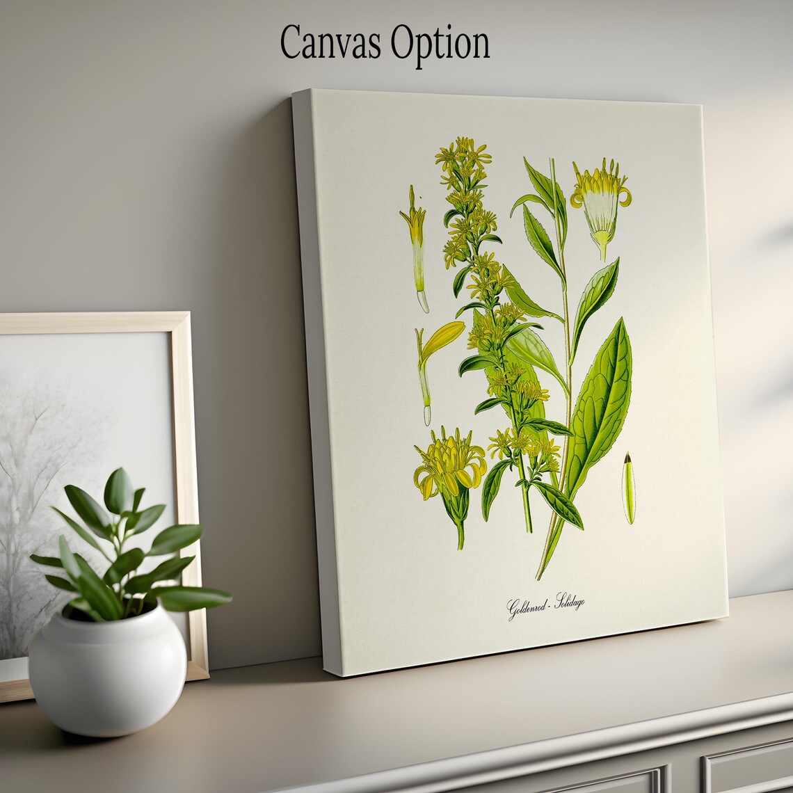 Goldenrod Flower Botanical Art Print, Kentucky State Flower - Image 2