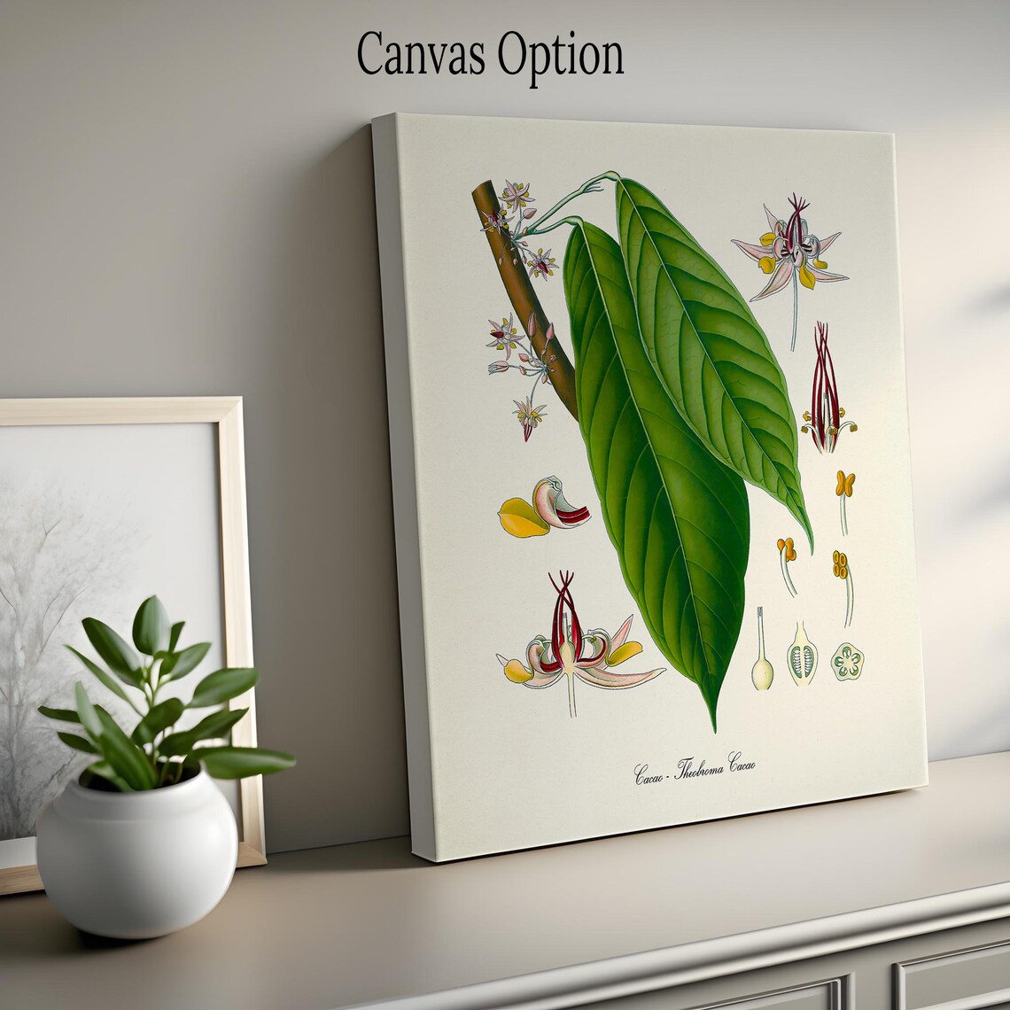Cacao Botanical Art Print, Cocoa Tree Wall Decor - Image 2