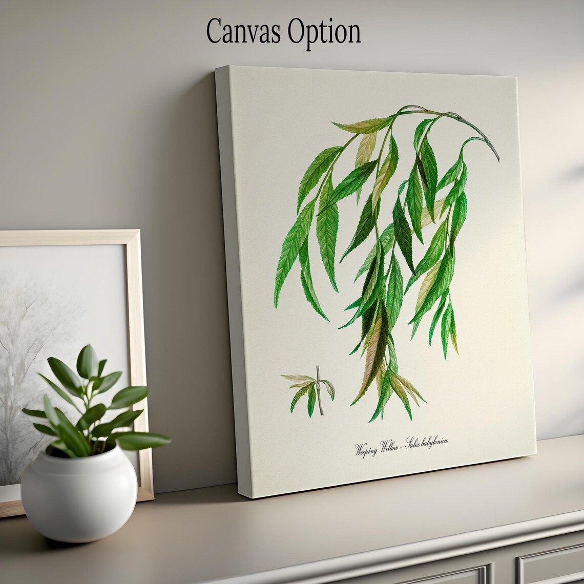Weeping Willow Botanical Tree, Home Decor Art Print - Image 2