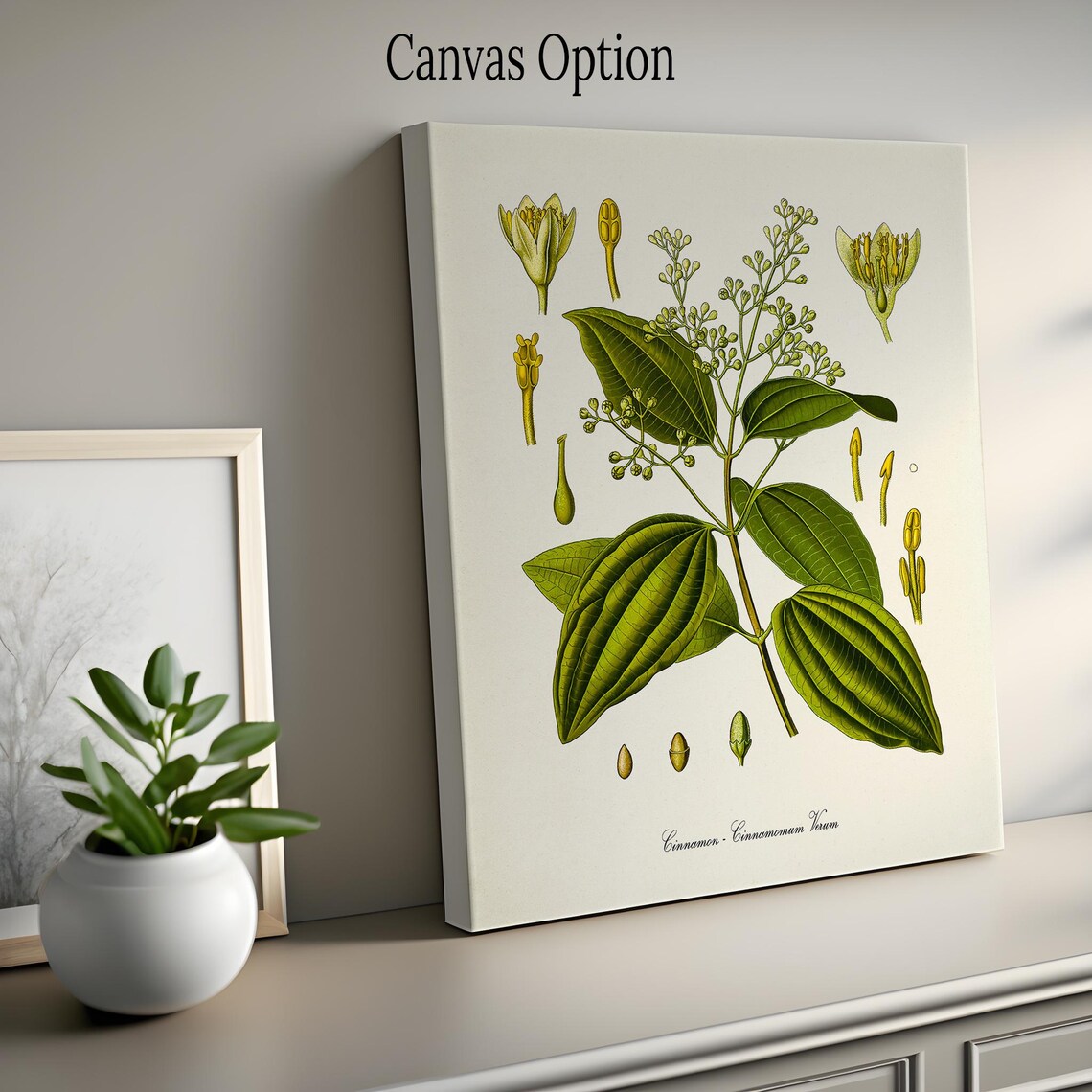 Cinnamon Botanical Art Print, Botanical Decor - Image 2