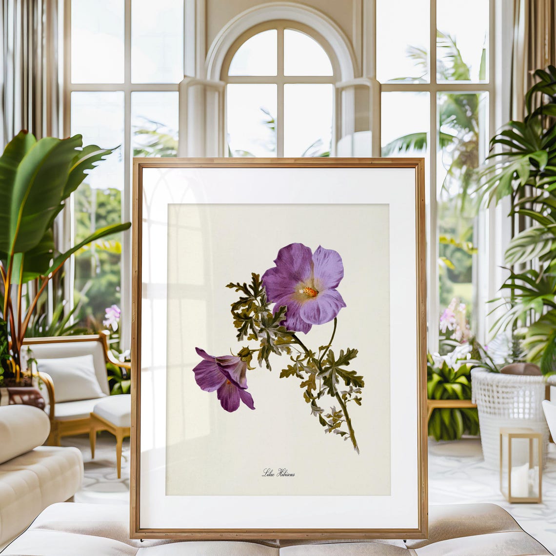Lilac Hibiscus Purple Bloom Vintage Botanical Flower Classic Poster - Image 3