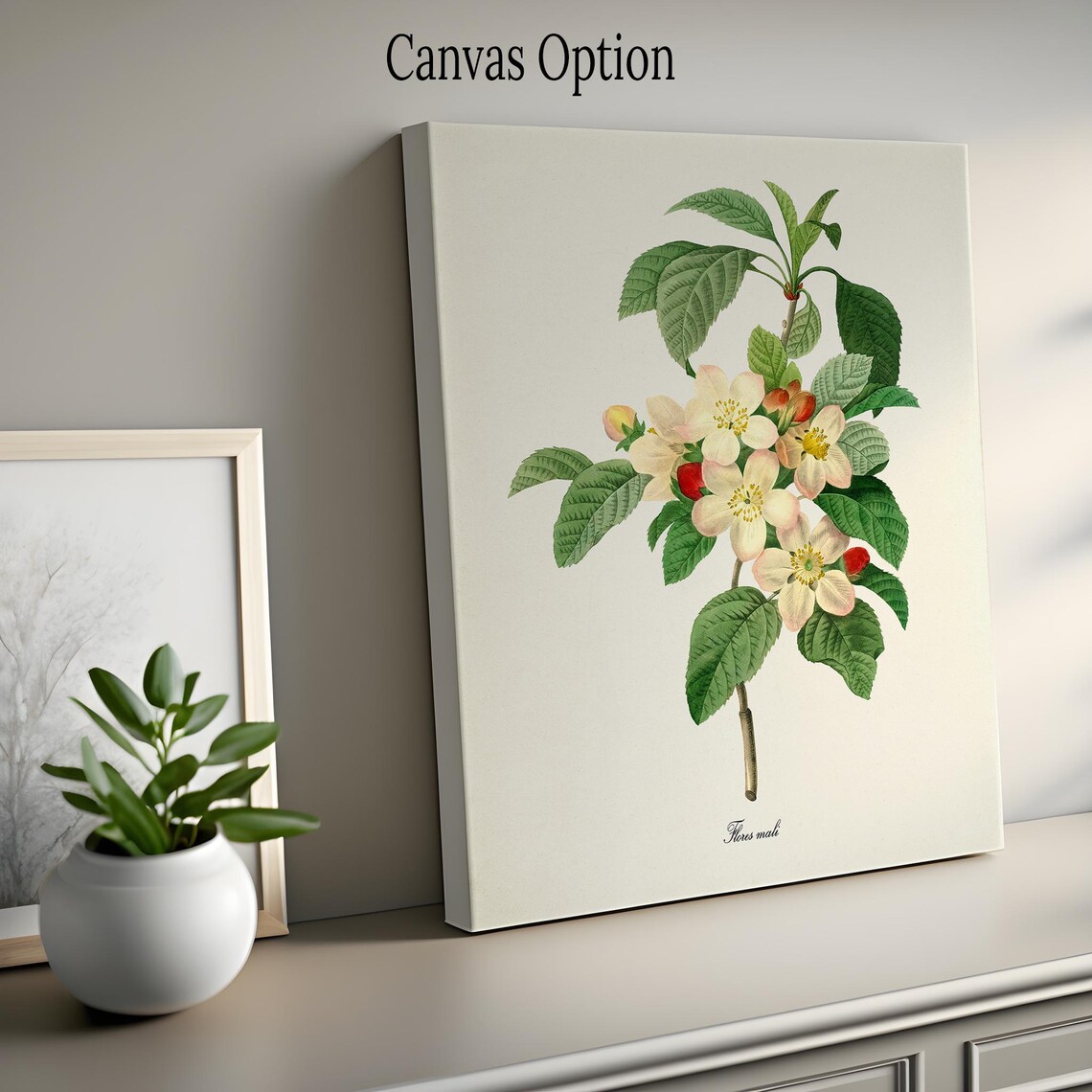 Flores Mali Botanical Flower Art Print, Redoute - Image 2