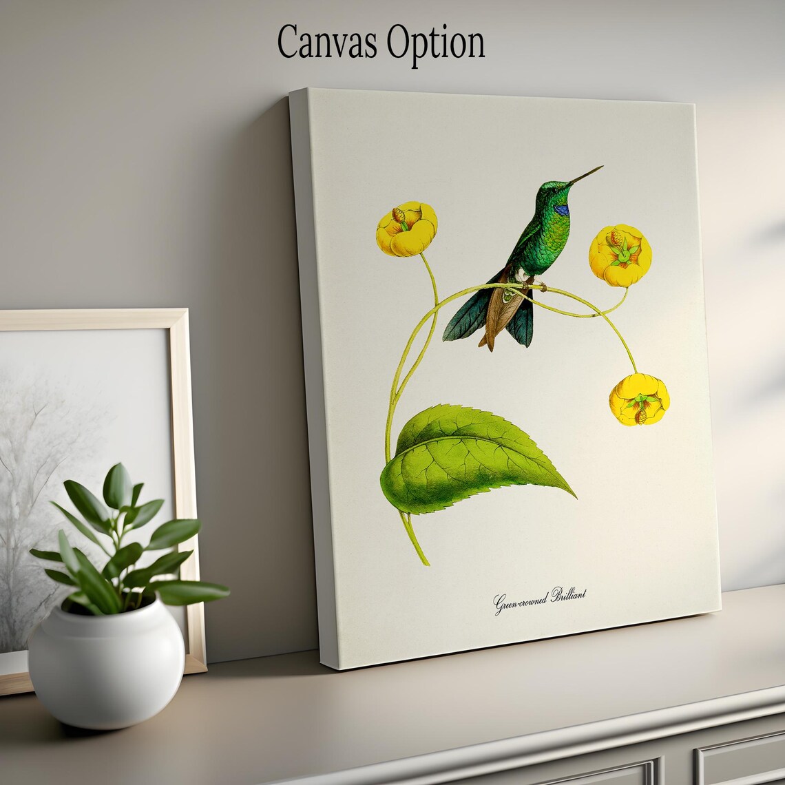 Green Crowned Brilliant Hummingbird Art Print - Image 2
