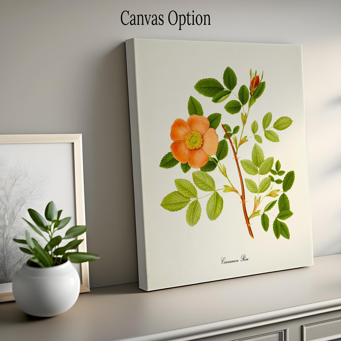 Cinnamon Rose Flower Art Print, Botanical Decor - Image 2