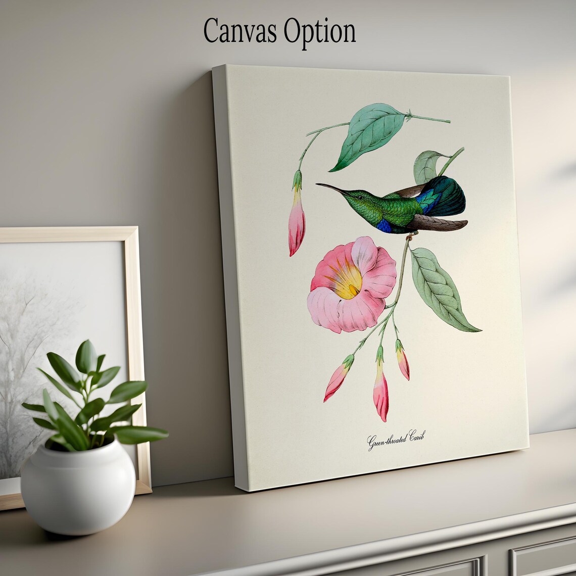 Green Throated Carib Hummingbird Bird Art Print - Image 2