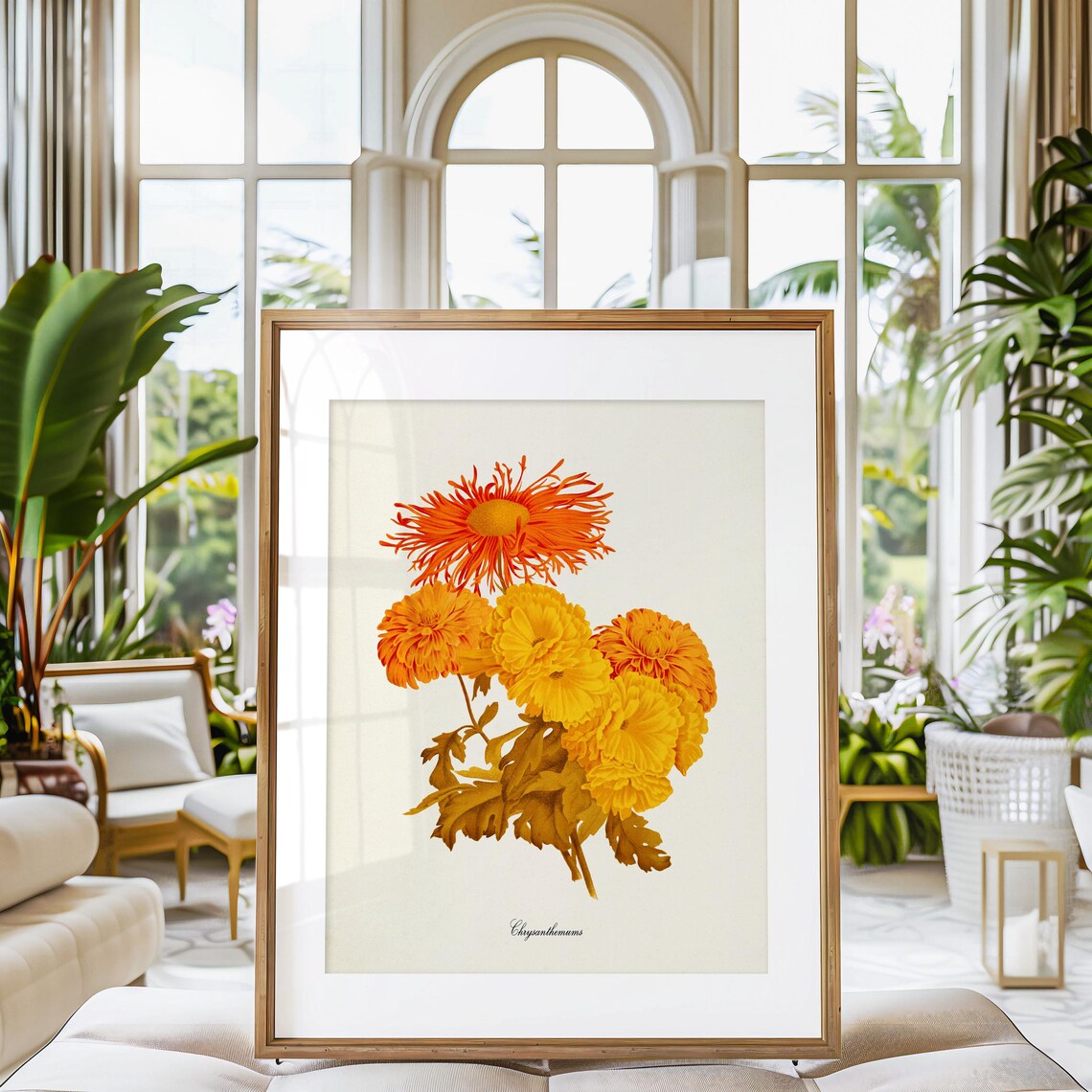 Chrysanthemum Botanical Art Print, Orange Yellow Mum - Image 3