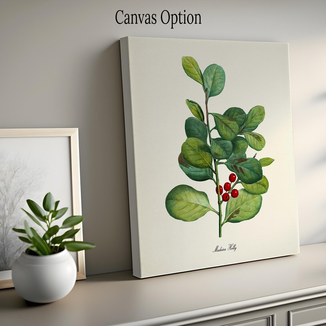 Madeira Holly Botanical Art Print, Red Berry - Image 2