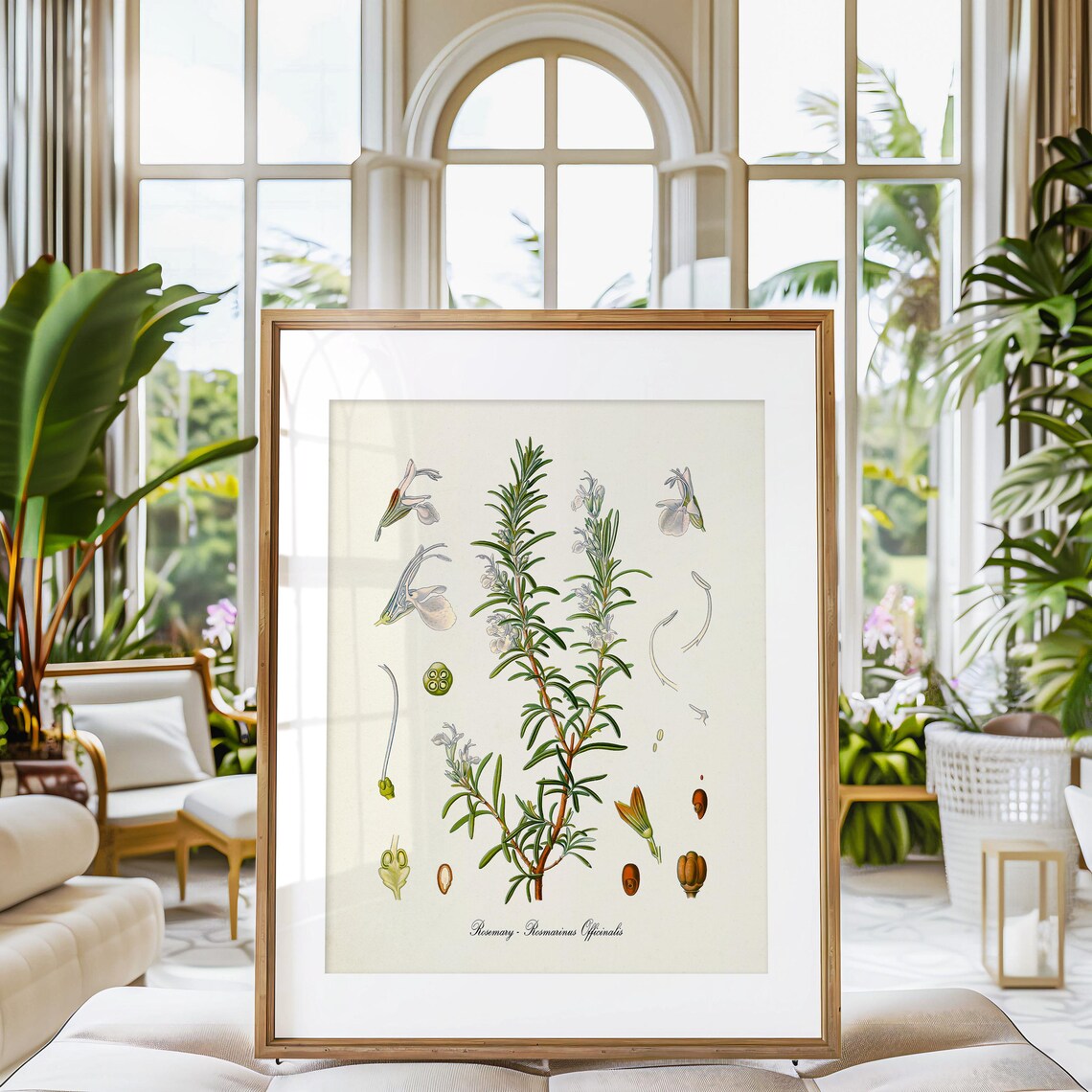 Rosemary Botanical Art Print, Kitchen Herb Decor - Image 3