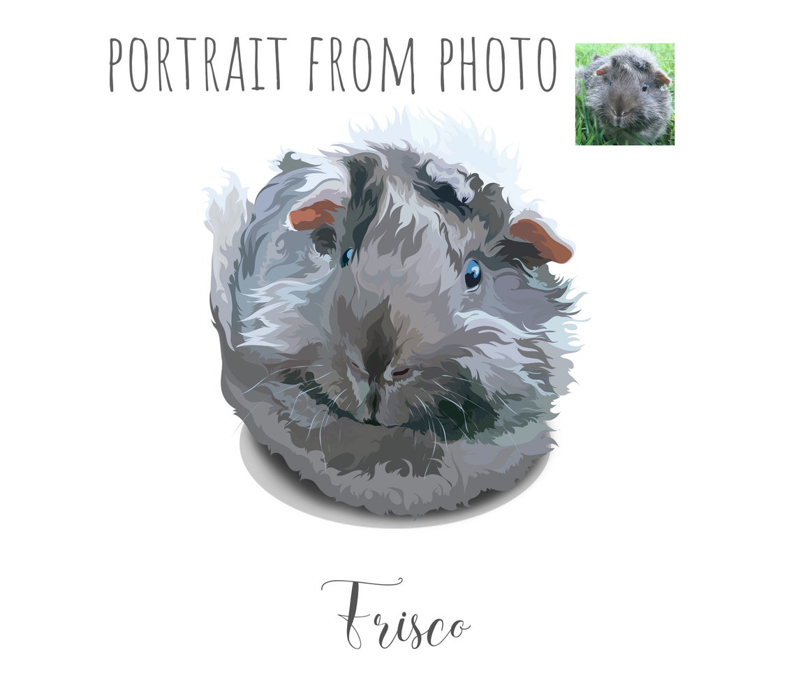 Custom Fluffy Grey Guinea Pig Portrait Frisco Puffball Gift Poster