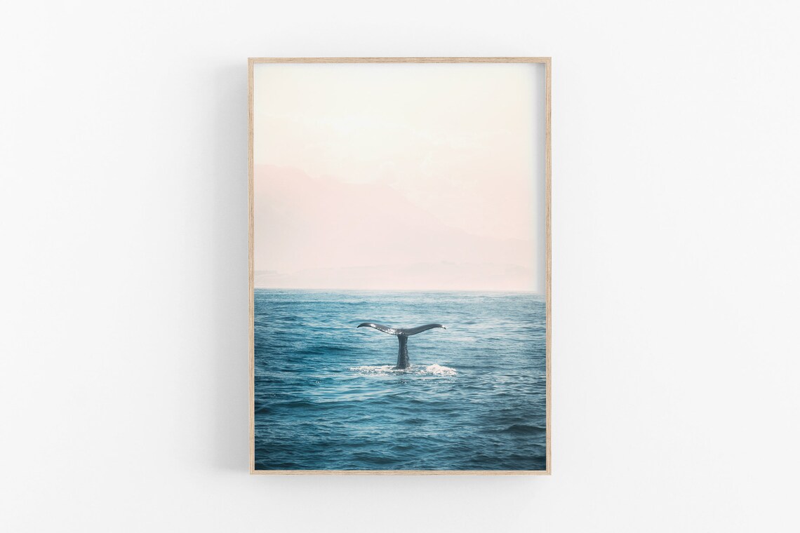 Whale Print Ocean Wall Art, Beach Nature Photo