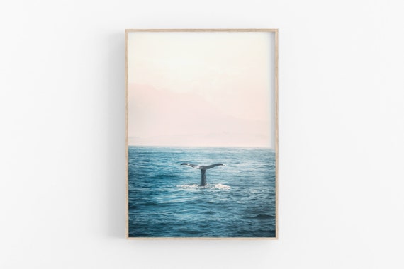 Whale Print Ocean Wall Art, Beach Nature Photo