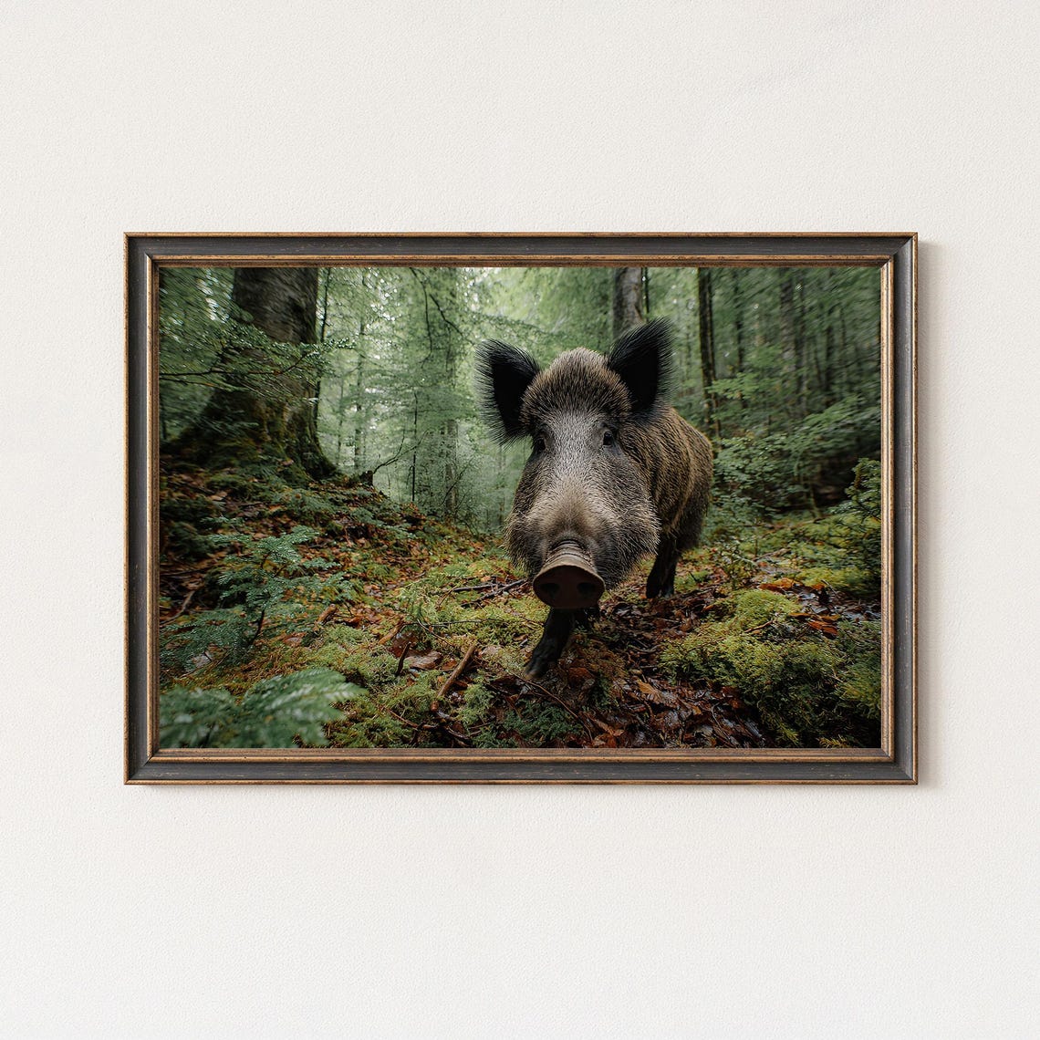 Wild Boar Close Up Walking Through Mossy Green Forest Wildlife Poster
